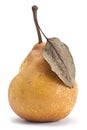 Brown pear