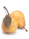 Brown pear