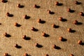 Brown peeled hazelnuts on a burlap cloth. Top view of round nuts close up. Hazel seed laid out in rows on a textured