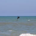 Brown pelican bird about to catch a fish diving close into the Ocean Royalty Free Stock Photo