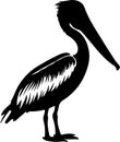 brown pelican Black Silhouette Generative Ai Royalty Free Stock Photo