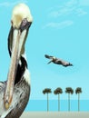 A brown pelican is seen in this photograph with a digital beach background