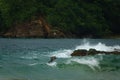 Brown Pelican diving in the Bloody Bay on the Caribean Island of Tobago Royalty Free Stock Photo