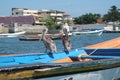 Brown pelicans in Caribbean sea next to the tropical paradise coast Royalty Free Stock Photo