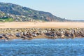 Brown Pelicans Resting on Malibu Beach in California Royalty Free Stock Photo