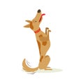 Brown Pet Dog Sitting Begging For Treat, Animal Emotion Cartoon Illustration Royalty Free Stock Photo