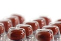 Brown Pill Blister Macro Isolated Royalty Free Stock Photo