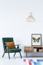 Brown pillow on green armchair next to a wooden cupboard with po