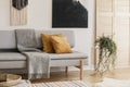 Brown pillows and grey blanket on couch in living room