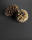 Brown pine cone on black paper background Royalty Free Stock Photo