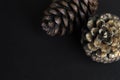 Brown pine cone on black paper background Royalty Free Stock Photo