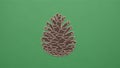 Of a brown pine cone with cr me edges is centered on a solid green Royalty Free Stock Photo