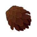 Brown pine cone. Woody fruit of conifer tree. Element of Christmas plant. Flat vector icon