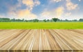 Brown plank wood table, refreshing nature background,rice field in countryside and bright sky backdrop,concept natural freshness