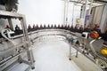 Brown plastic bottles with fresh beer go on conveyor belt