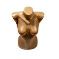 Brown plastic female torso mannequin - top front view Royalty Free Stock Photo
