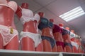 Brown mannequins with sets of women bras and panties in different colors they wear, standing on top shelf of underwear department
