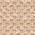 Brown plesiosaur dinosaur fossil bones seamless pattern. Gender Neutral Jurassic silhouette for baby nursery. Gender