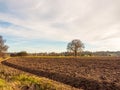 brown ploughed agricultural field outside farm landscape sky ground dirt tree