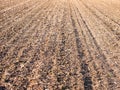 Brown ploughed dry autumn farm field space tracks empty space ag