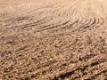 Brown ploughed dry autumn farm field space tracks empty space ag