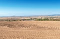 Brown ploughed field