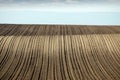 Brown plowed field farmland landscape