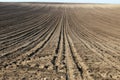 Brown plowed field