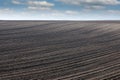 Brown plowed field landscape