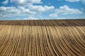 brown plowed field landscape agriculture nature Royalty Free Stock Photo