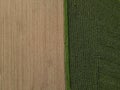 Brown plowed field with soil and green field with corn in the countryside