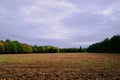 Brown plowed field