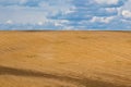 Brown plowed non-seeded field on a background of blue summer sky. sunny sky over an empty meadow. serenity, bliss. desktop Royalty Free Stock Photo