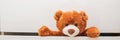 Brown plush toy Teddy bear crawling out of chest of white drawers