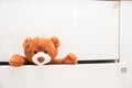 Brown plush toy Teddy bear crawling out of chest of white drawers Royalty Free Stock Photo