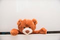 Brown plush toy Teddy bear crawling out of chest of white drawers Royalty Free Stock Photo