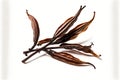 brown pods of dry vanilla beans on white background