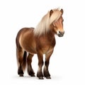 Miniature Pony On White Background - 32k Uhd Ap Style Photo