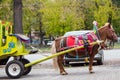 Brown pony with carriage buggy for children in city street.