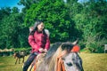 Brown pony with saddle standing in park with natural background