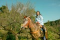 Brown pony with saddle standing in park with natural background