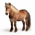 Photorealistic Danish Design: Stunning Brown Pony On White Background