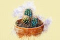 Brown pot with cactus in watercolors