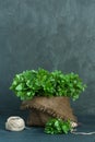 Brown pot, sheaf of mint and skein of twine Royalty Free Stock Photo