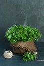Brown pot, sheaf of mint and skein of twine Royalty Free Stock Photo