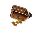 Brown purse with coins Royalty Free Stock Photo