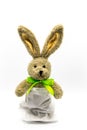 Brown rabbit in easter bunny in bread bag Royalty Free Stock Photo