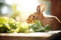 brown rabbit feasting on garden greens under sunlight