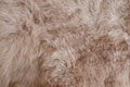 Brown rabbit fur Texture, animal skin background