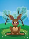 Brown Rabbit on Lawn